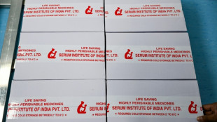 Una vacuna contra la malaria de una empresa india se distribuirá en África en mayo