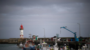 Les poissons d'Oman cr&eacute;ent des remous &agrave; Lorient