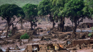 Mineras Vale y BHP proponen indemnización de USD 25.000 millones por desastre de Mariana en Brasil