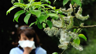 Daten von Krankenkasse KKH belegen steigende Zahl von Pollenallergikern