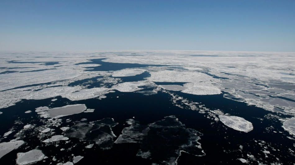 Lessons on climate grief from the people of the sea ice