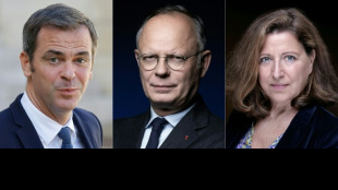 Corona-Krise: Klage gegen franz&ouml;sischen Ex-Premier abgewiesen