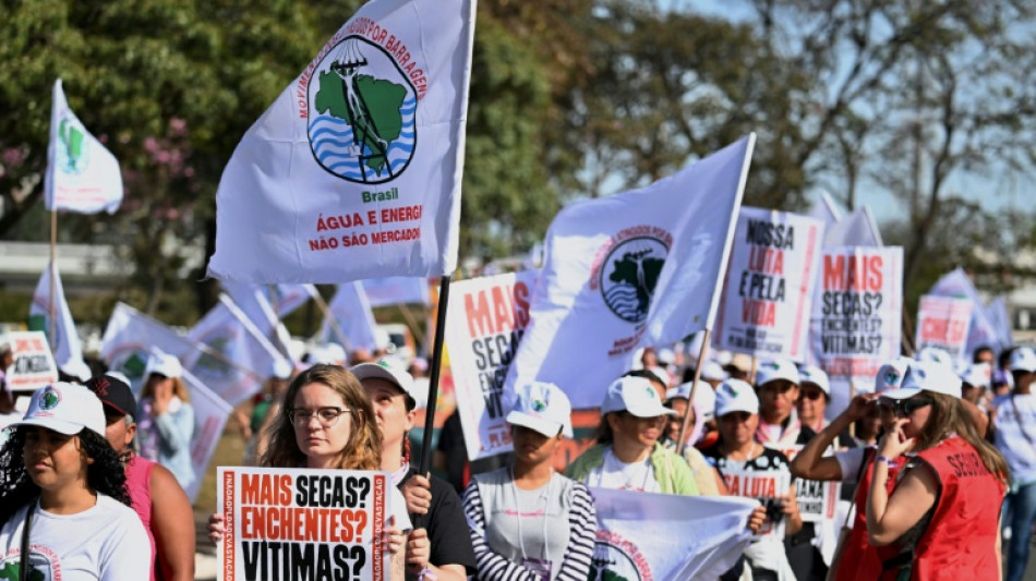 El Congreso de Brasil aprueba la flexibilizaci&oacute;n de las licencias ambientales