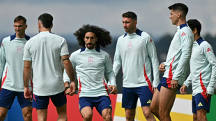 11,3 Millionen: Spaniens EM-Team hofft auf dicke Pr&auml;mie