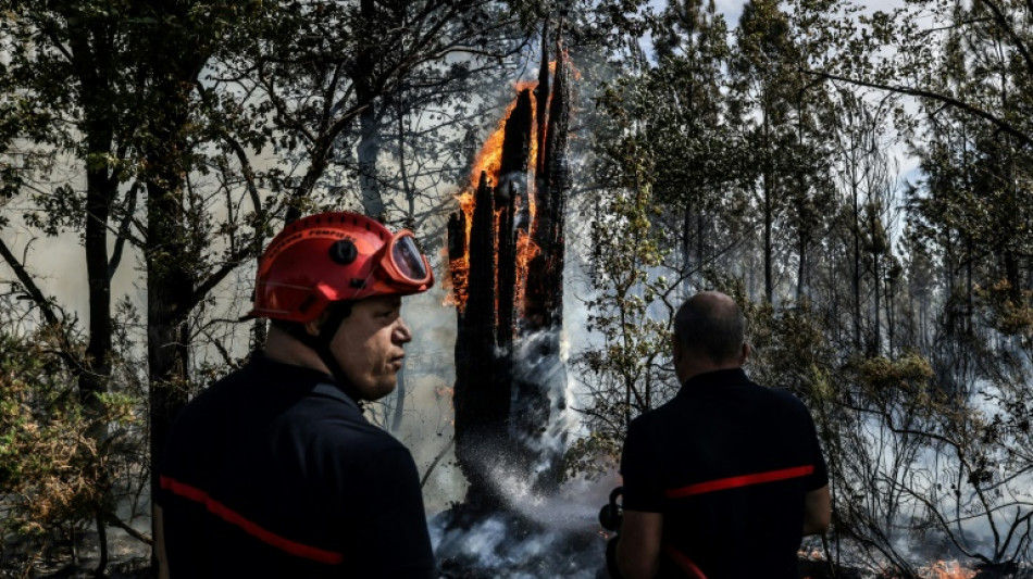 Incendie en Gironde: feu 