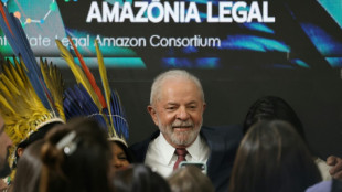 Lula will Klimakonferenz 2025 in die Amazonas-Region holen