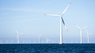 German grid connection deal to boost North Sea wind power