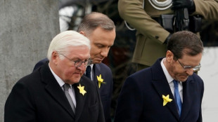 Presidente alem&aacute;n pide perd&oacute;n en aniversario de levantamiento del gueto de Varsovia