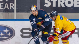 DEL: M&uuml;nchen gewinnt Auftakt bei S&ouml;derholms Liga-Deb&uuml;t