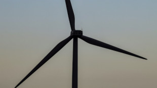 La Patagonia chilena y argentina ver&aacute;n un "anillo de luz" por un eclipse solar